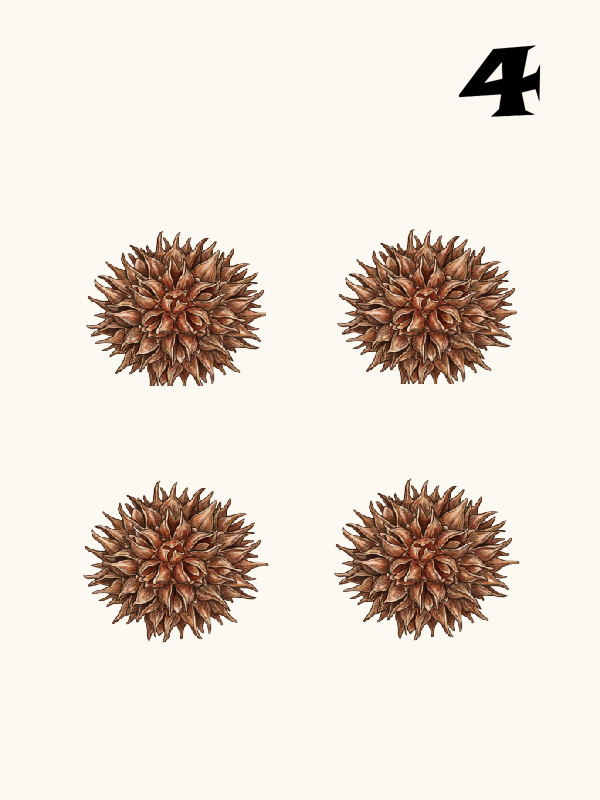 MawLong 4 Dot