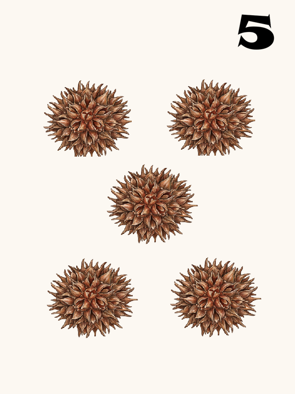 MawLong 5 Dot