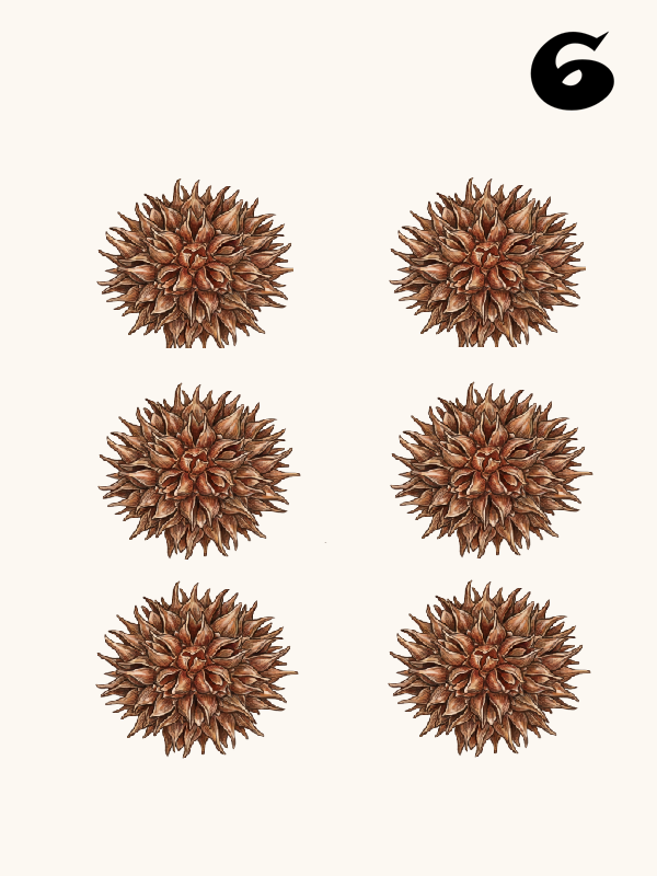 MawLong 6 Dot