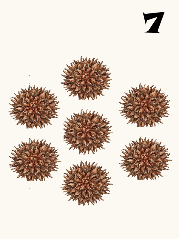 MawLong 7 Dot