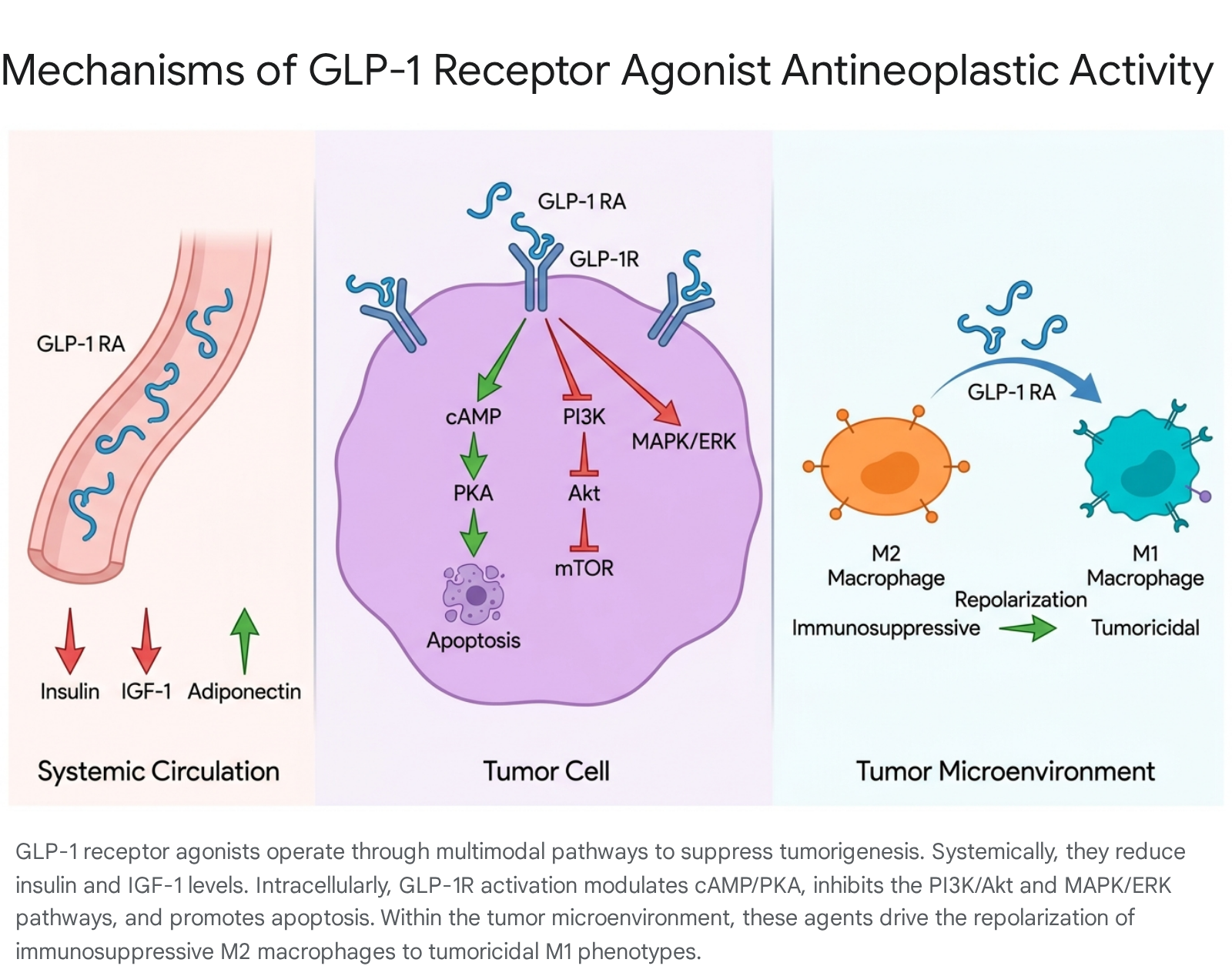Glp1CancerLinkReport Image1 1